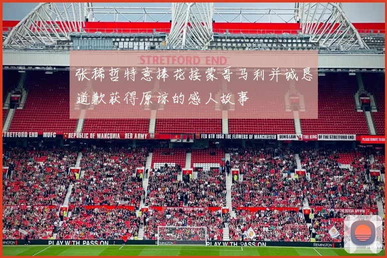 张稀哲特意捧花接蒙哥马利并诚恳道歉获得原谅的感人故事
