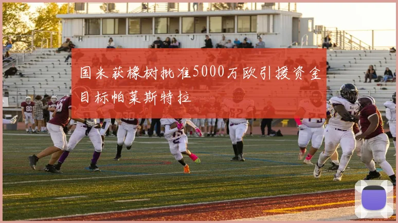 国米获橡树批准5000万欧引援资金目标帕莱斯特拉