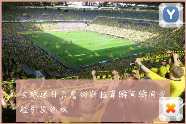 女球迷目击詹姆斯抠鼻瞬间瞬间变脸引发热议